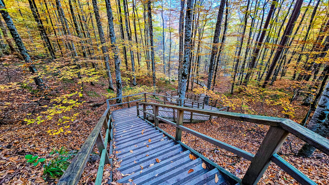 Autumn landscape in (seven lakes) Yedigoller Park Bolu, Turkey