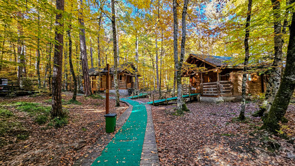 Autumn landscape in (seven lakes) Yedigoller Park Bolu, Turkey