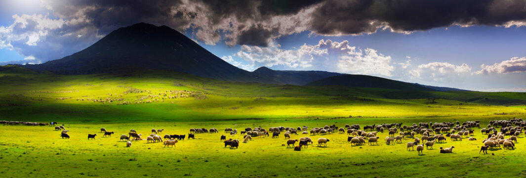 Mount Ararat (Armenian: , Ararat or , Masis; Kurdish: iyay Agir; during the Seljuk period: Eri Da), with an altitude of 5,137 meters, is the highest mountain in Turkiye.