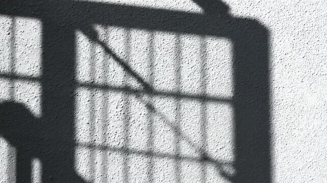 The video captures sunlight shifting, causing the shadows of barred windows or gates and a subtle feline silhouette to move slightly across a textured white wall over an eight-second duration.