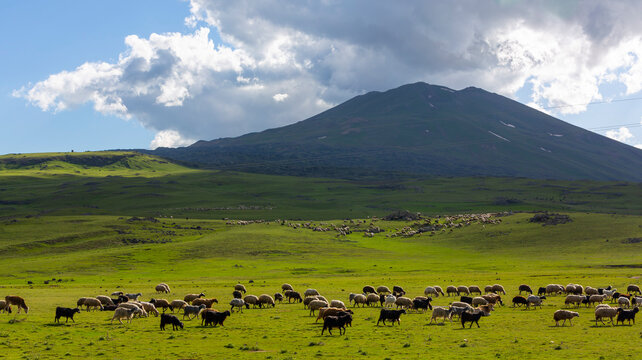 Mount Ararat (Armenian: , Ararat or , Masis; Kurdish: iyay Agir; during the Seljuk period: Eri Da), with an altitude of 5,137 meters, is the highest mountain in Turkiye.
