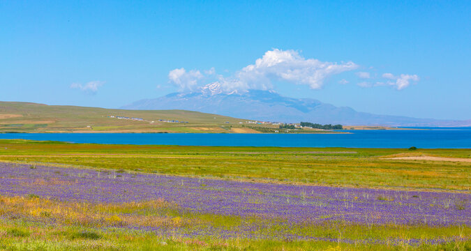 Mount Ararat (Armenian: Արարատ, Ararat or Մասիս, Masis; Kurdish: &Ccedil;iyay&ecirc; Agir&icirc;; during the Seljuk period: Eğri Dağ), with an altitude of 5,137 meters, is the highest mountain in T&uuml;rkiye.