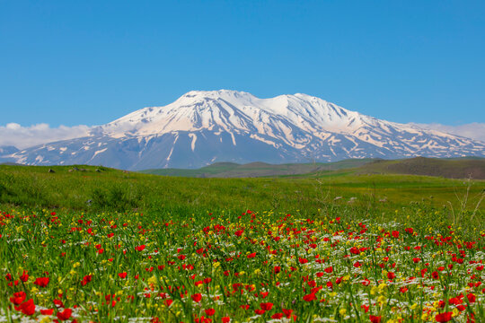 Mount Ararat (Armenian: , Ararat or , Masis; Kurdish: iyay Agir; during the Seljuk period: Eri Da), with an altitude of 5,137 meters, is the highest mountain in Turkiye.