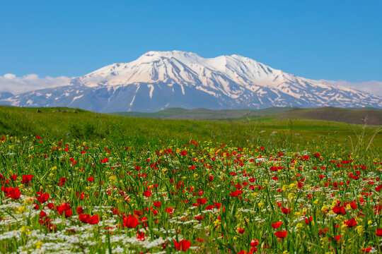 Mount Ararat (Armenian: Արարատ, Ararat or Մասիս, Masis; Kurdish: &Ccedil;iyay&ecirc; Agir&icirc;; during the Seljuk period: Eğri Dağ), with an altitude of 5,137 meters, is the highest mountain in T&uuml;rkiye.