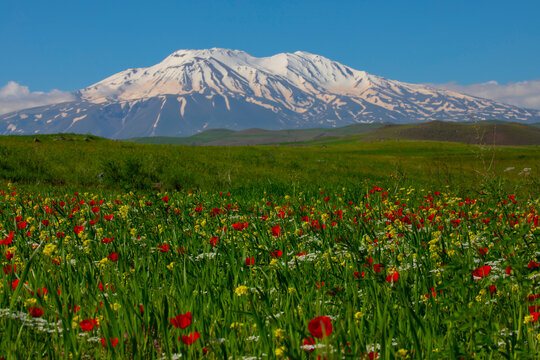 Mount Ararat (Armenian: Արարատ, Ararat or Մասիս, Masis; Kurdish: &Ccedil;iyay&ecirc; Agir&icirc;; during the Seljuk period: Eğri Dağ), with an altitude of 5,137 meters, is the highest mountain in T&uuml;rkiye.