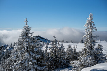 Winter Impressions From The Bavarian