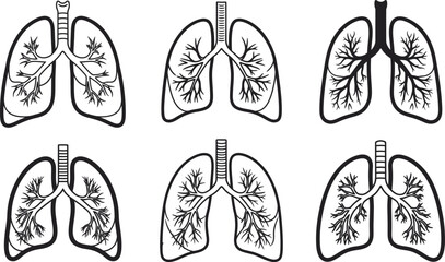 Collection of detailed human lung anatomy illustrations showcasing various respiratory system structures for medical and educational purposes