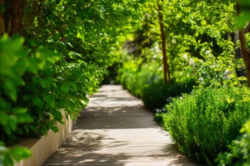 Obraz premium Lush Green Pathway Surrounded by Vibrant Foliage in a Spring Outdoor Setting
