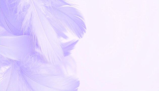 Soft purple feathers gently cascade against a white backdrop, creating a dreamy aesthetic