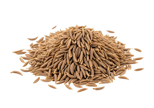 A pile of dried mealworms on a white background, ideal for pet food or bait. isolated on transparent background
