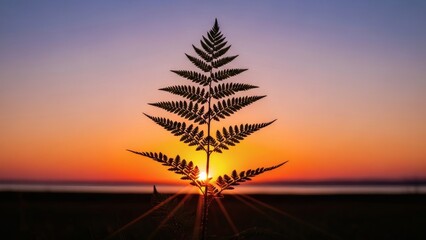 Silhouetted Fern against Vibrant Sunset Sky.