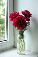 flowers in vase peonies © Liza