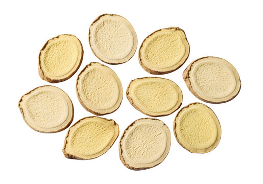 Dried astragalus root slices arranged isolated PNG with Transparent Background