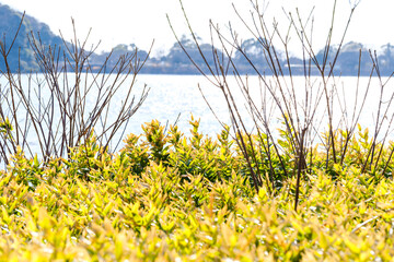 散歩の途中で見つけた春の風景