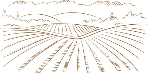 Hand drawn vineyard landscape sketch, rural farmland with rolling hills and agricultural fields for organic winery design © MdMajnur