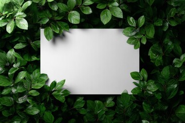 Green foliage frame with horizontal blank card mockup clean botanical layout