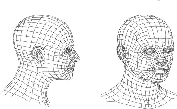 Human head 3D wireframe technical sketch, facial structure mesh for digital anatomy and modeling design