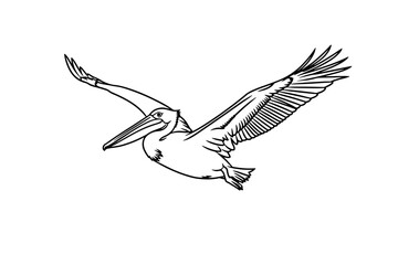 Fototapeta premium Black cat silhouette sitting with its tail wrapped around its body isolated on transparent background, isolated on white background, Vector