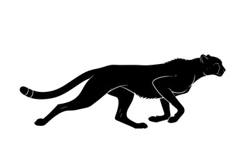 Obraz premium A sleek black cheetah mid-stride, showcasing its powerful muscles and elegant form. isolated on transparent background, isolated on white background, Vector