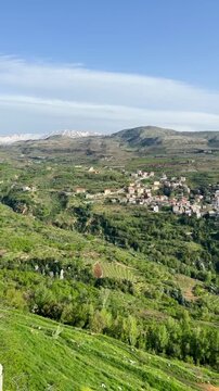 Lebanese landscape featuring majestic cedar forests in the foreground, with snow-capped mountain peaks rising majestically in the distance under a clear blue sky.