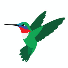 Obraz premium Colorful Hummingbird in Flight