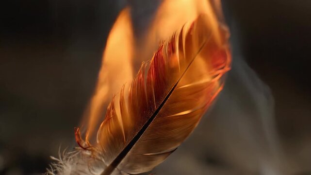 Burning feather close-up with smoke and fire, artistic conceptual abstract shot.