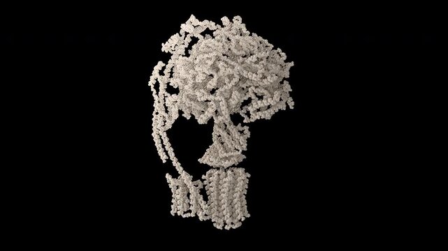 3D Scientifically accurate ATP Synthase mechanism: Counter-clockwise rotation with pulsating Alpha-Beta subunits with vibrating stator- ProRes 4444 XQ Medical seamless loop 3D animation on black.