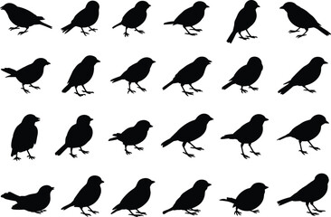 Obraz premium Small birds silhouette collection sparrow robin songbird wildlife clipart black isolated icons nature flat vector illustration, flat vector illustration