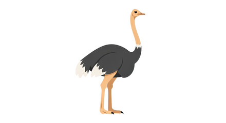 Fototapeta premium A cartoon illustration of a tall ostrich with dark grey feathers, a long tan neck, and light brown legs standing upright. isolated PNG with Transparent Background