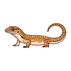 Obraz premium Ackie Monitor vector icon