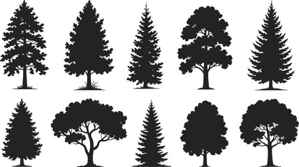 Realistic Tree Silhouette Collection with Pine and Deciduous Forest Trees Black Vector Set Isolated on White Background