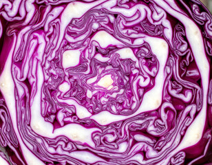 Obraz premium Close-up cross section of red cabbage revealing dense layered structure and natural purple and white patterns. Organic vegetable texture photographed as a material surface, not food presentation.
