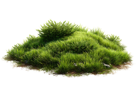 Dense green grass mound with small shrubs png for realistic garden landscaping and park environment visualization high quality botanical cutout isolated on transparent background for designers