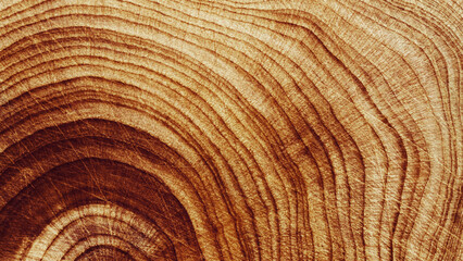 Macro banner of wood timber of juniper tree rings, natural geometric pattern, abstract nature...