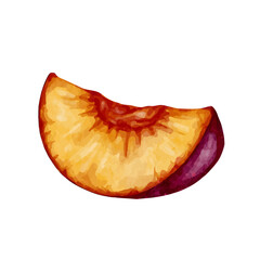 Ripe, juicy plum. Vector graphics.