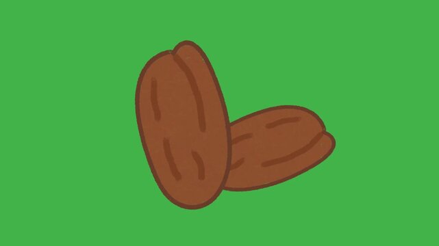 Hand Drawn Dates Fruit Animation on Green Screen | 2D Hand Drawn Doodle Style Ramadan Iftar Dates Motion Graphics | Sketch Style Islamic Food Overlay Animated Asset