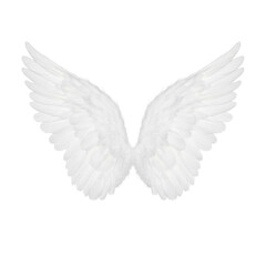Elegant White Angel Wings with Soft Feathers