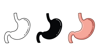 Fototapeta premium Human stomach anatomy stages flat design vector illustration - Flat Design Icon. line icon set - Icon vector - Blue icon vector. Clipart. Icon collection - Line and glyph solid icon and logo template