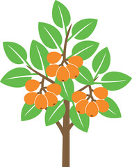 Loquat tree logo. Isolated loquat tree on white background