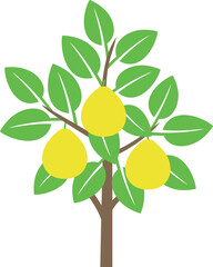 Pomelo tree logo. Isolated pomelo tree on white background