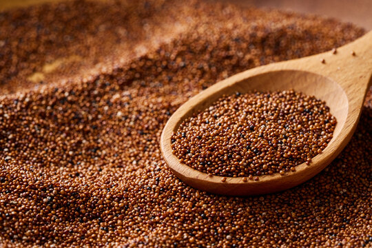 closeup macro pile of canihua seed or baby quinoa texture background and wood spoon