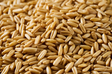 closeup macro whole oat groat texture background