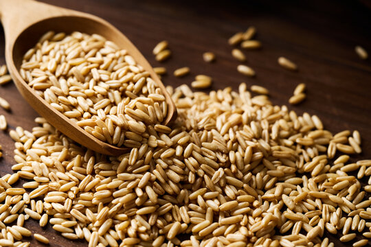 closeup whole oat groat in wood scoop on wooden rustic table dark mood background with copy space