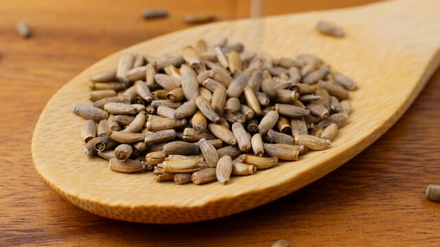 Dried brown Milk Thistle seeds falling down into the wooden spoon close up