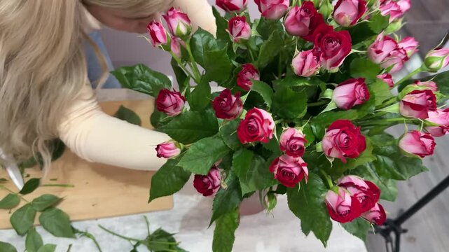 Blonde florist with visible face arranging pink spray rose bouquet, cleaning stems and removing thorns, creating floral composition in glass vase at cozy home interior, real lifestyle with model relea