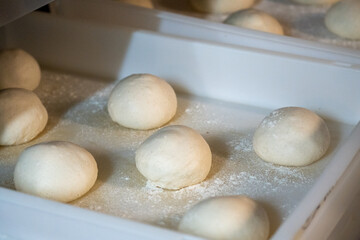 Fototapeta premium Shaping round pizza dough balls by hand ready for baking fresh homemade Italian pizza