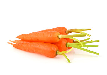 Heap of fresh baby carrot isolated on white background