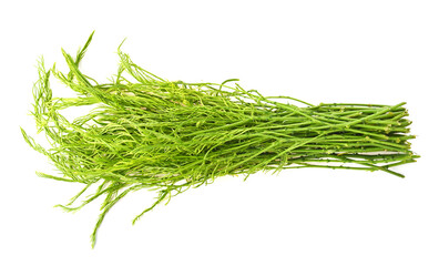 Heap of fresh senegalia pennata. isolated on white background