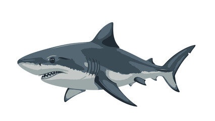 Fototapeta premium Illustration of a great white shark swimming in the ocean.