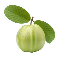 A green guava fruit with leaves on a white background isolated on transparent background